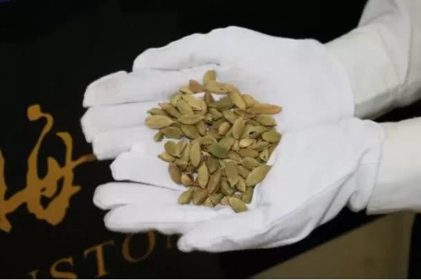 香港澳门出境不能多带的东西,去香港澳门哪些东西不能带