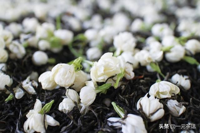 非遗花茶,非遗茉莉花茶技艺