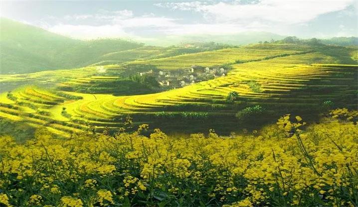 广东省最美自驾游244省道,中国最受欢迎的十大自驾路线top1