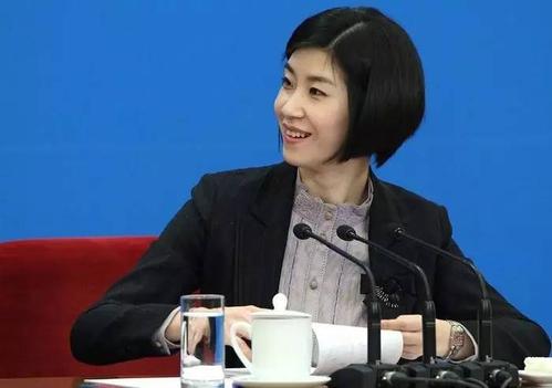 高级翻译张璐进入会场视频,翻译界四大女神