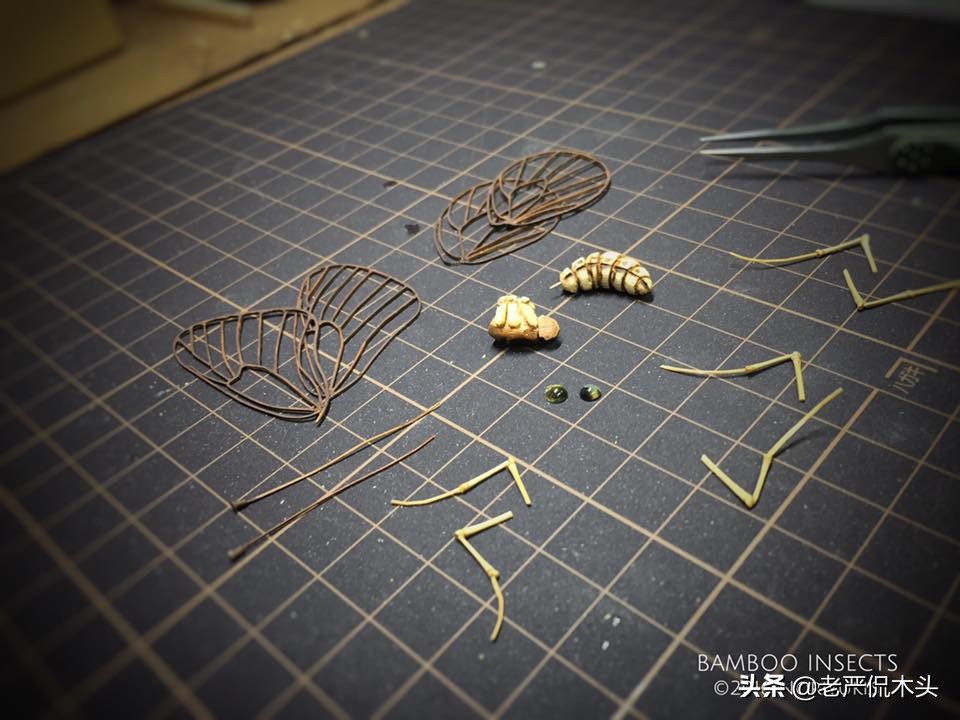昆虫标本树脂竹节虫,昆虫标本制作竹节虫
