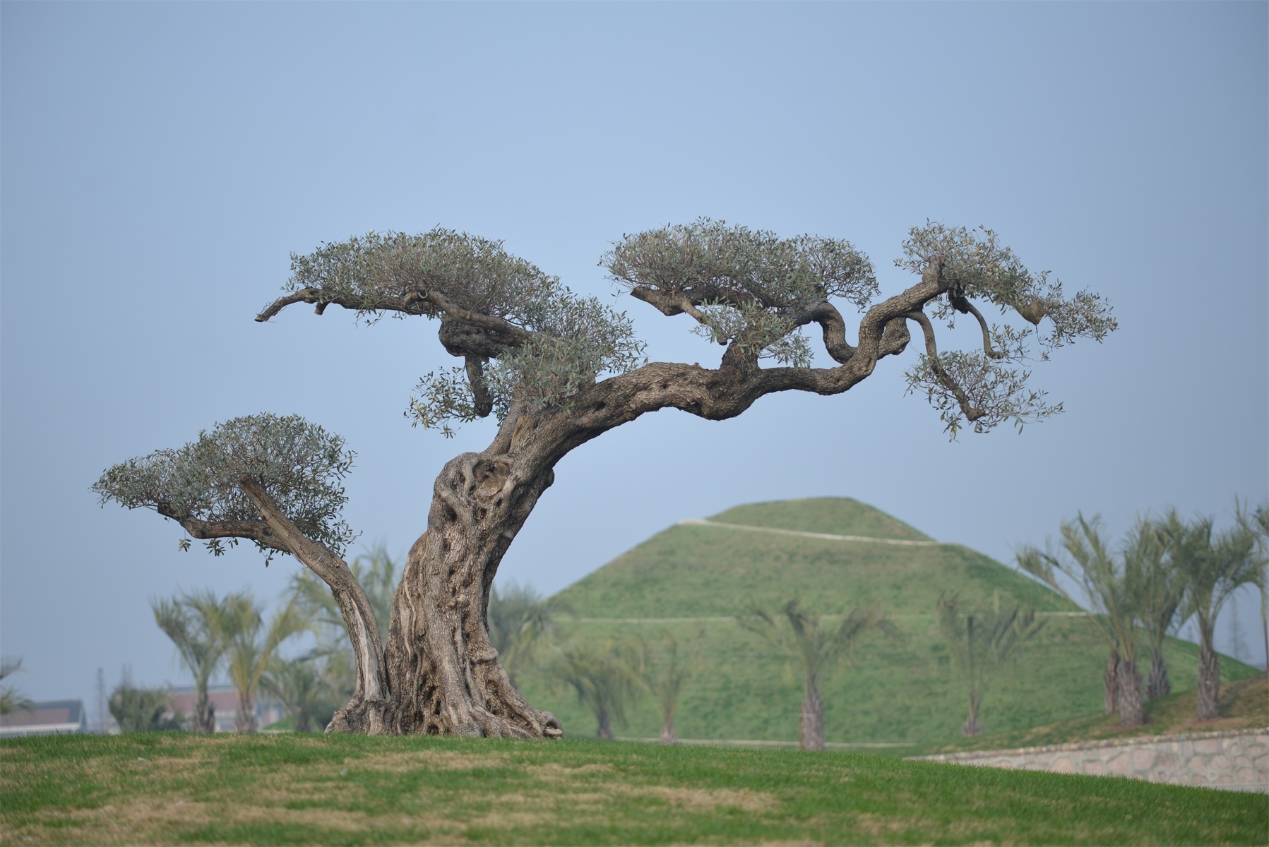 南通绿博园室内,南通绿博园风景
