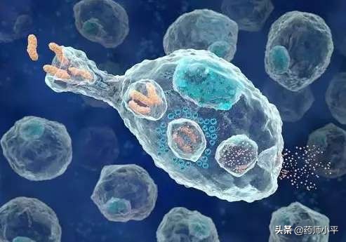 sars病毒用什么中药,什么中药对sars有效