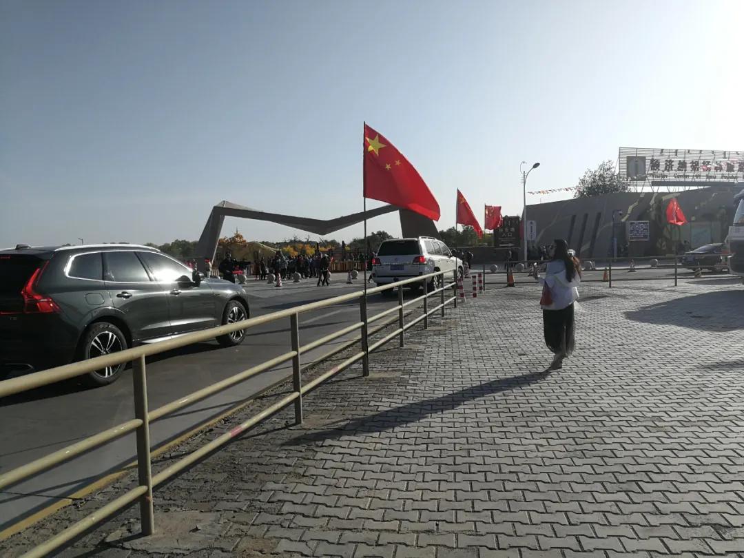 额济纳青年节旅游攻略,额济纳胡杨林旅游攻略