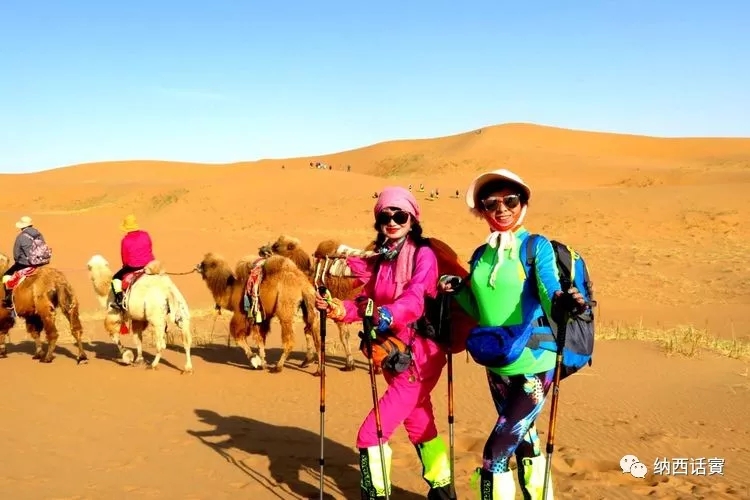 叶紫被雷劈穿越到异界,关于叶紫的穿越小说