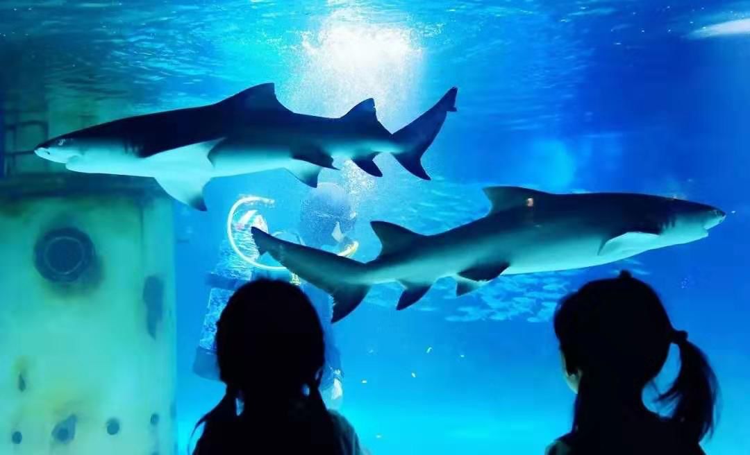 南京海底世界小朋友要票吗,南京海底世界99元一大一小套票