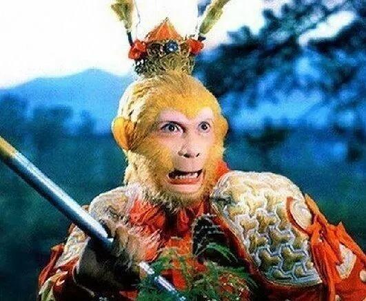 仙界是如何划分五级仙品的？猪八戒仙品竟然比孙悟空和杨戬还高？