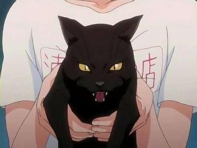 十大名猫动漫,动漫排行榜前十名京剧猫