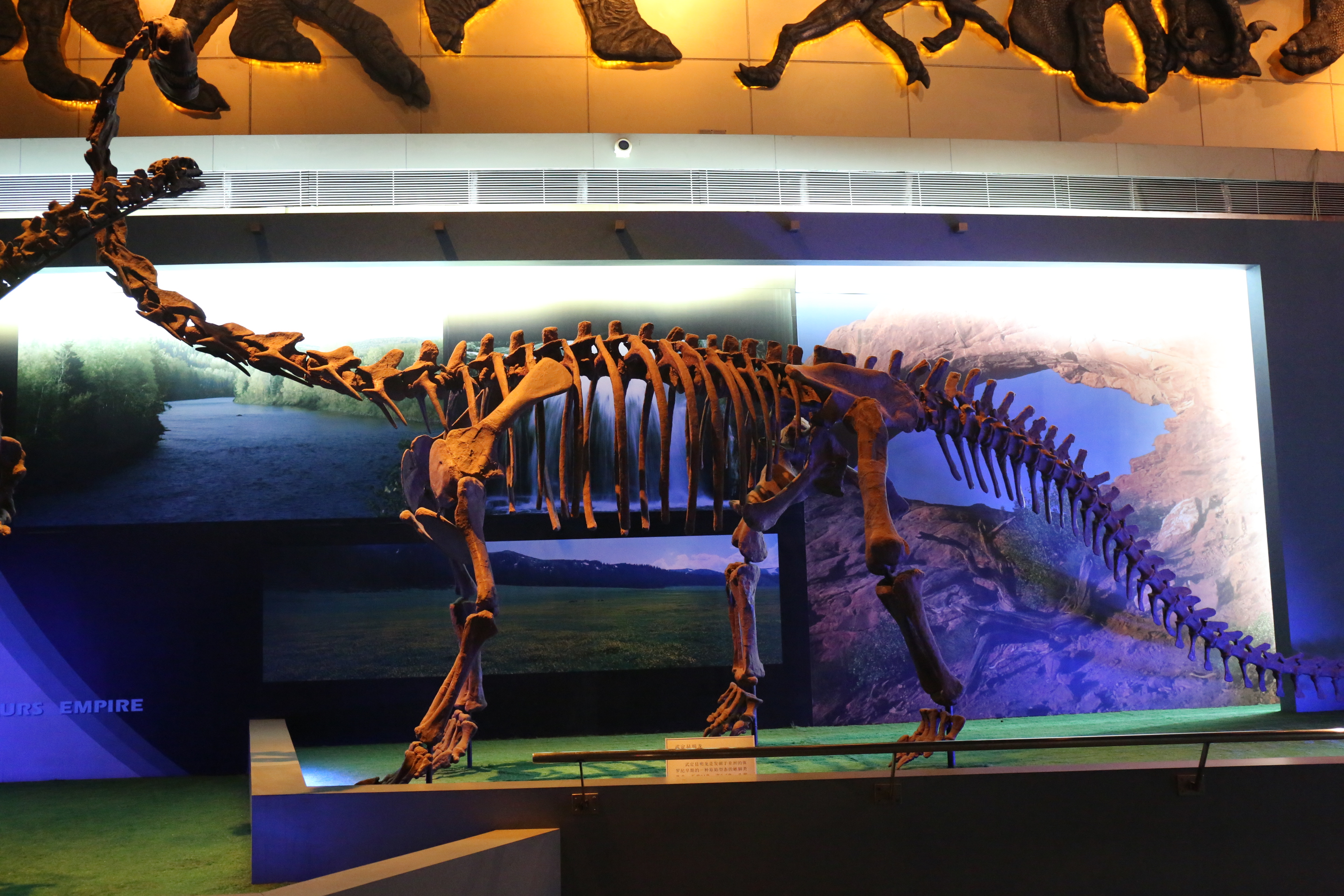 常州最豪华的酒店,常州恐龙园树屋酒店