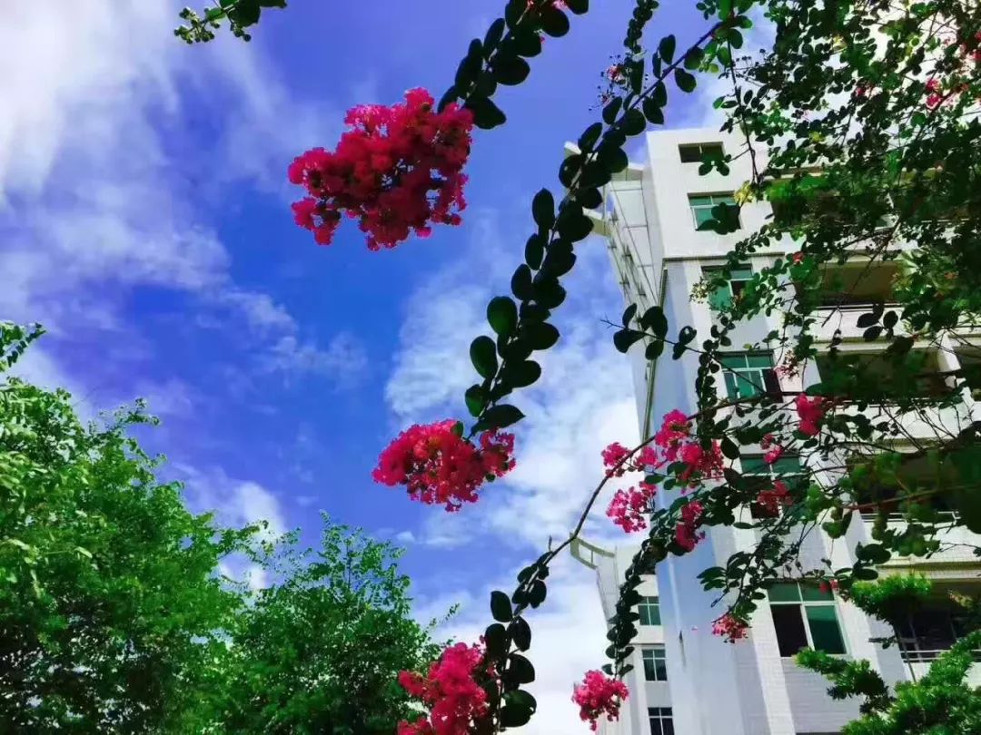 肇庆不限户籍的学校,肇庆小学非本市户口入学基本条件