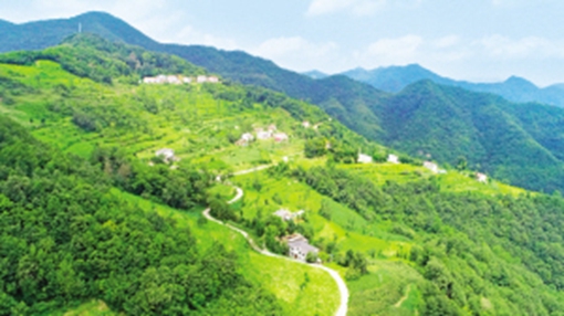 产业强农村美农民富,产业兴农民富村庄美