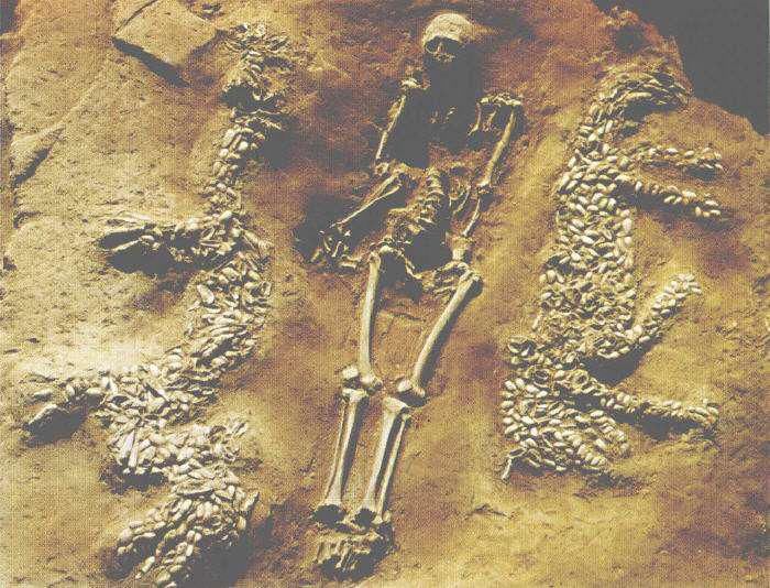 前面抱人，后面背鹿，这只虎是在干嘛呢？