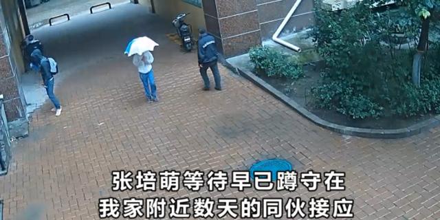 短跑名将张培萌回应家暴,短跑名将张培萌被曝遭家暴出轨