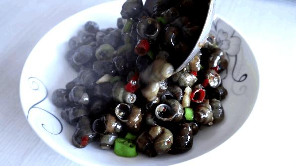 黄鳝吃田螺吗,鳝鱼吃田螺吗