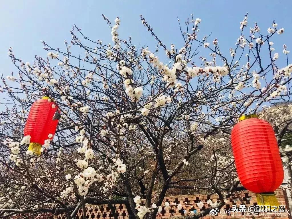 去威海之后建议去哪,去威海玩只想花5000