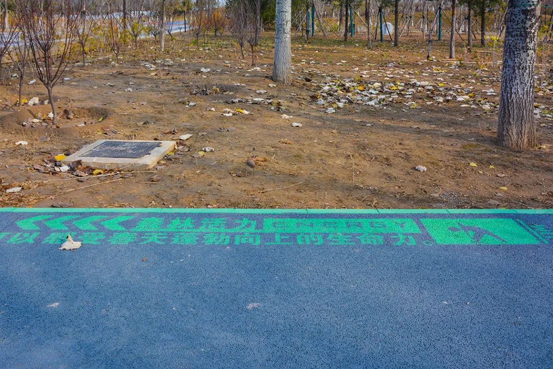 春意盎然北京五大公园,北京区级综合性公园