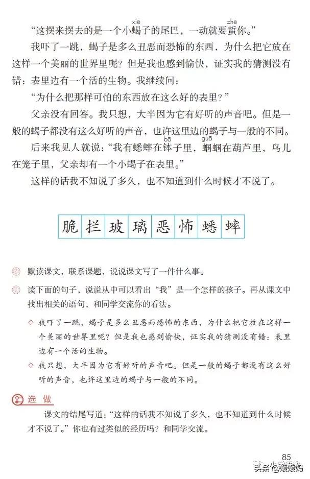 六年级下册语文表里的生物朗诵,六年级下册表里的生物小练笔400字