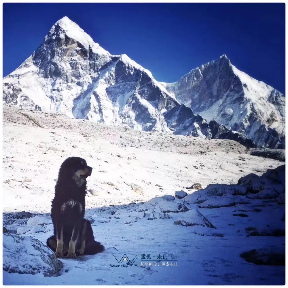 高山之巅的感悟,高山低谷的感悟