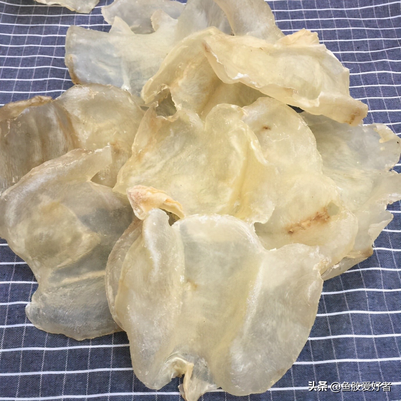 鱼胶做法最简单的方法,鱼胶的做法大全最好吃