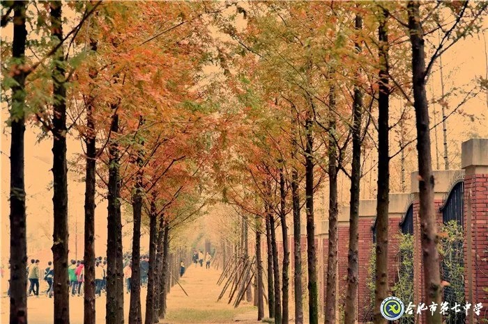 打卡合肥好玩的地方,合肥7中是重点高中吗