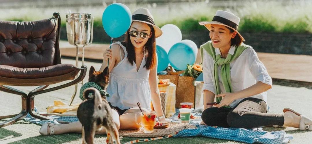 爱宠大机密作战计划,爱宠大作战作战计划