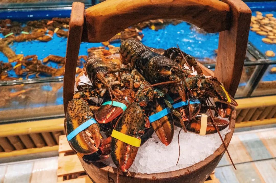 200多元住到总统套房,200元住乾隆年间的房子