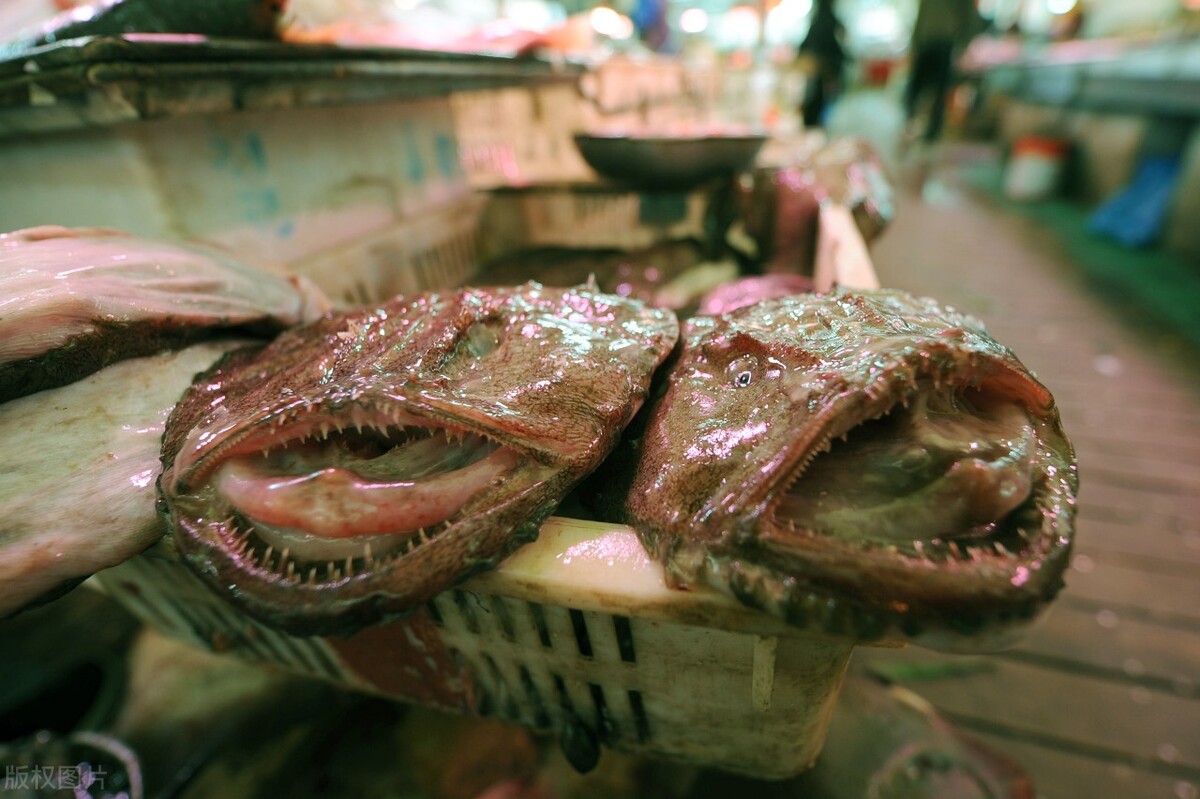 普通人家常吃的十种海鱼,盘点美味又便宜的5种海鱼