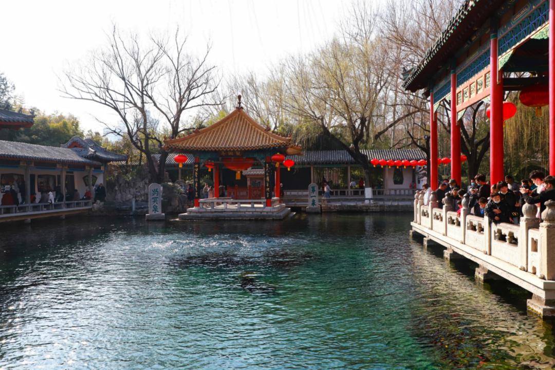 春天里最美的花儿，语文课本上的天下第一……一定要带孩子来