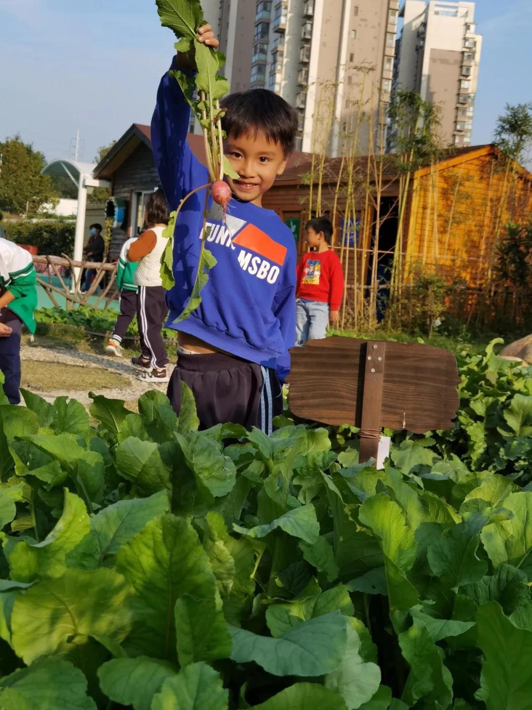 秋天你好吗,秋天你好