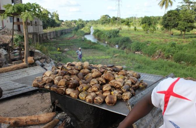 非洲大蜗牛有“脏”，就连敢喝恒河水的人，都不敢碰它