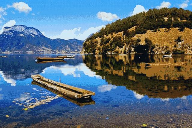 大凉山特产苦荞香茶,大凉山高山黑苦荞茶