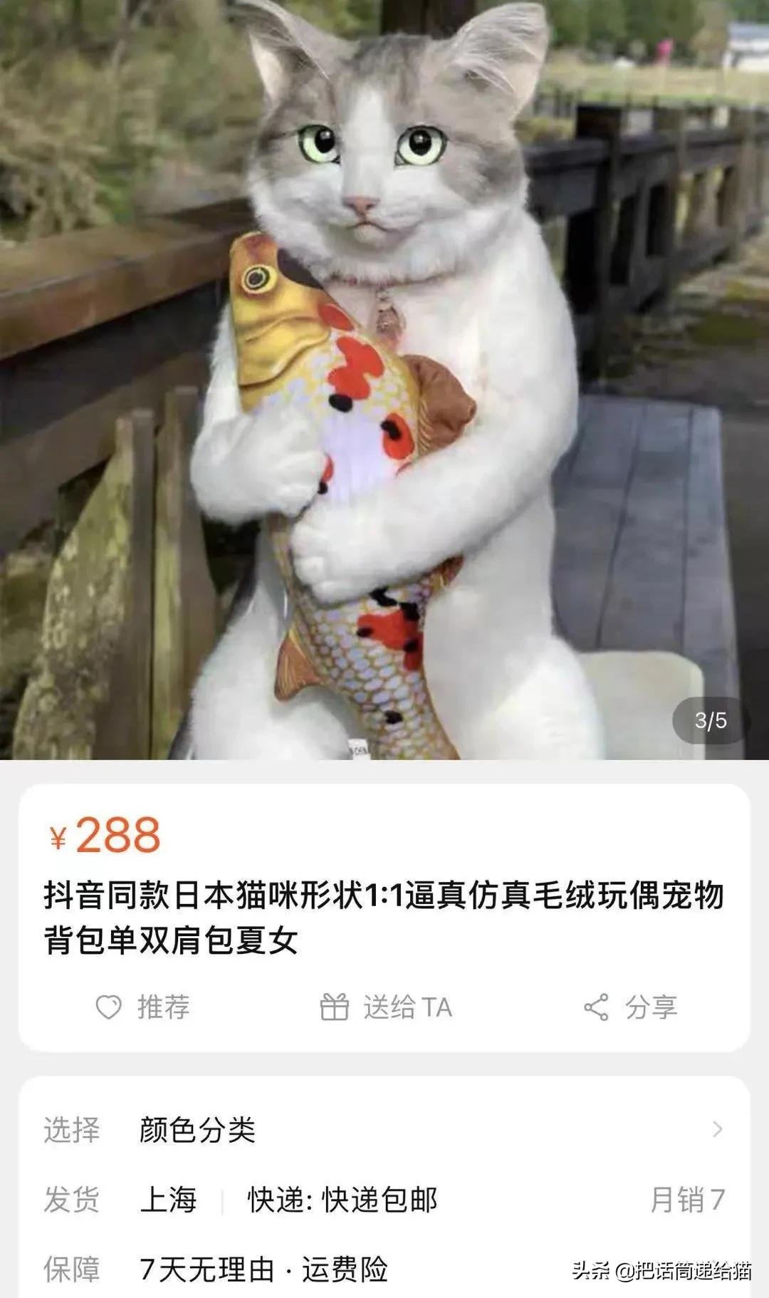 日本网红猫包,日本网红猫咪包