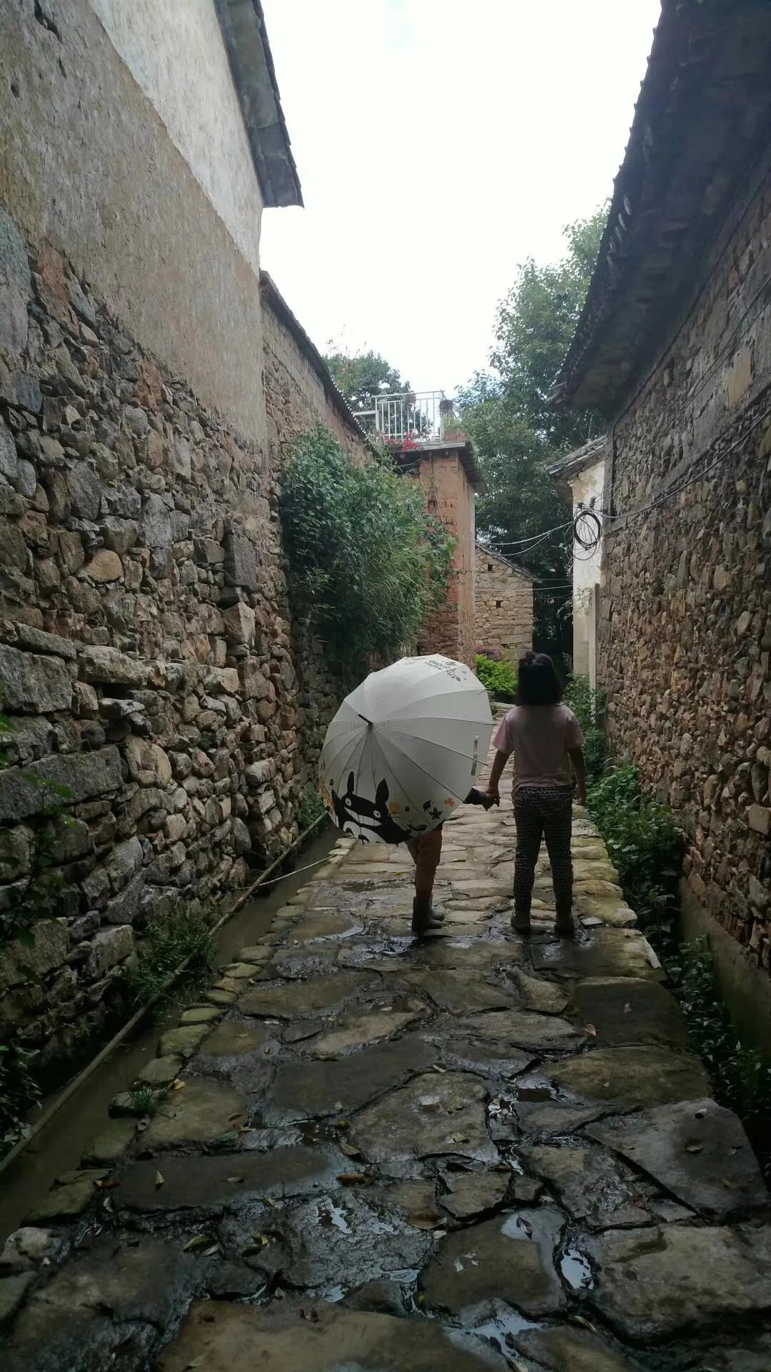 一家三口的田园生活,一家三口在大理的田园边租房15年