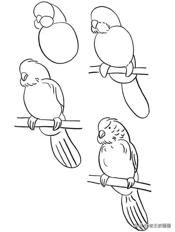 画开心的喜羊羊简笔画3秒学会,幼儿园简笔画小燕子3秒学会