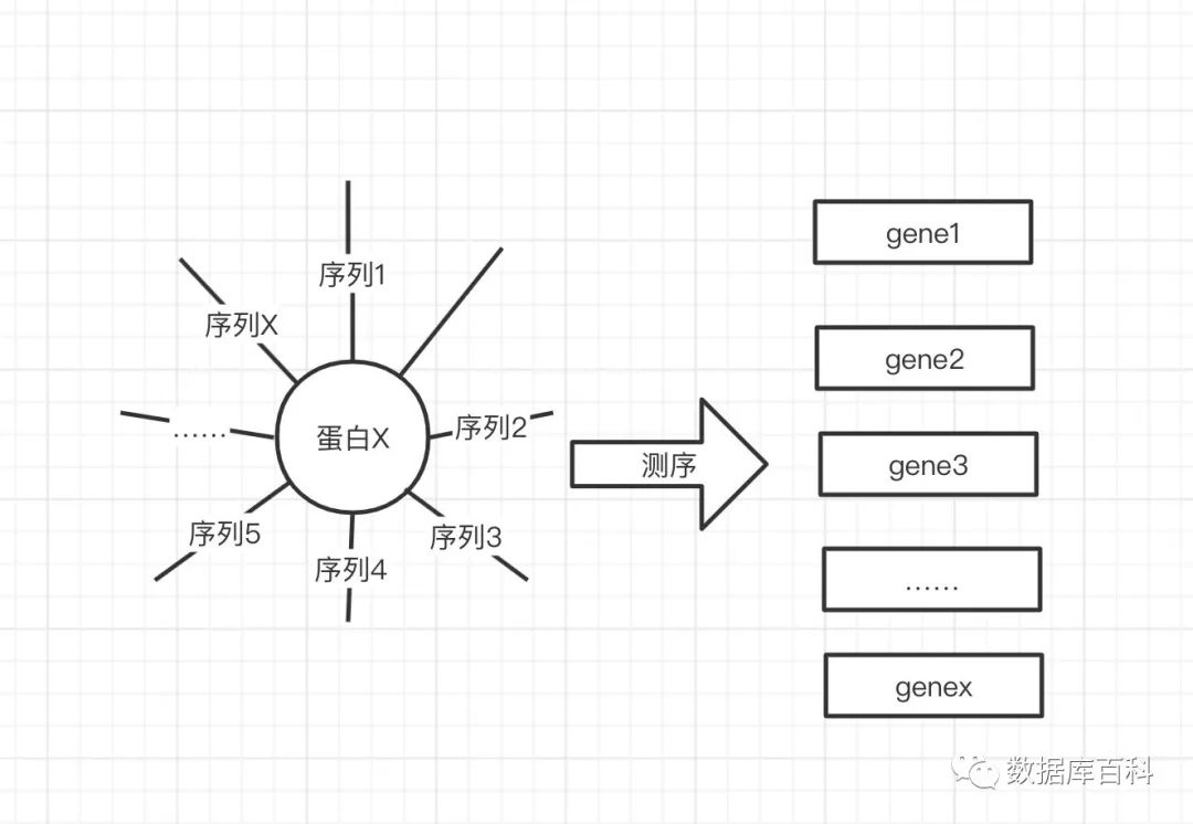 高通量基因测序筛查报告,高通量测序平台介绍演讲