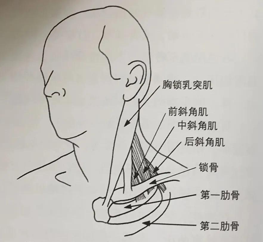 专业解决各种疼痛治疗效果好吗,专业疼痛调理