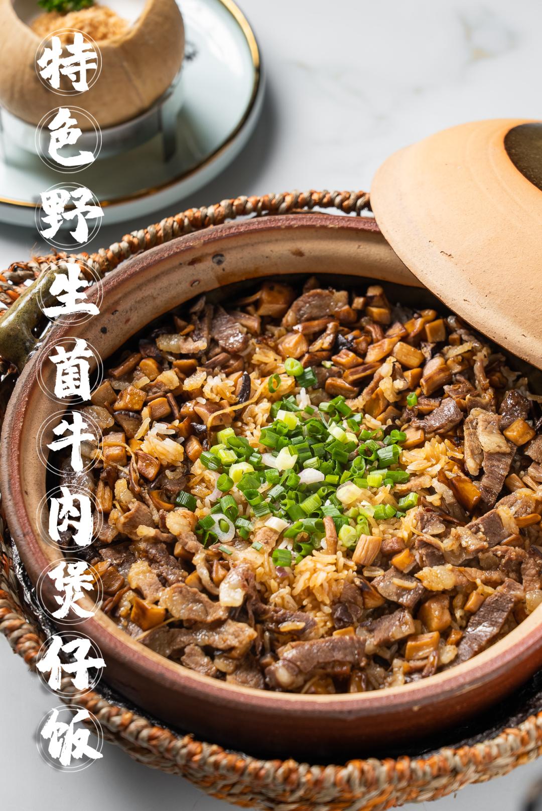 泰国鸡和缅鸡杂交后代,中泰越混血椰子鸡