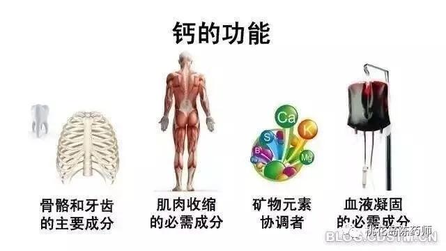 如何科学补钙更有效,如何科学补钙更利于钙吸收