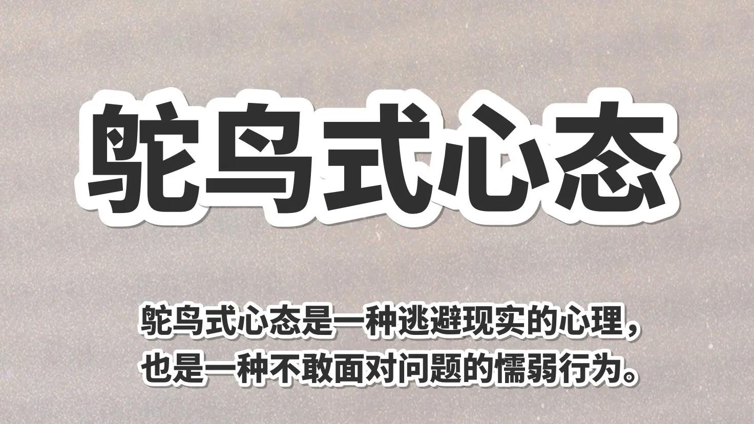 当我读《风声》时,我在读什么?