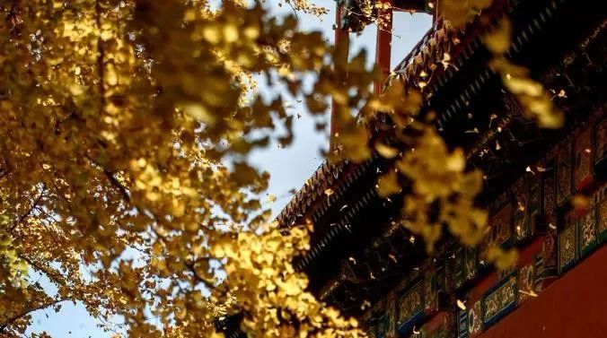 人健康的十大秘诀,10句健康箴言体勤益寿心静延年