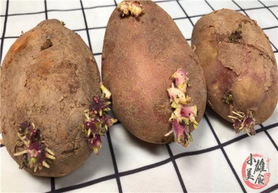 土豆发芽有毒教育视频,发芽的土豆有毒千万不要吃