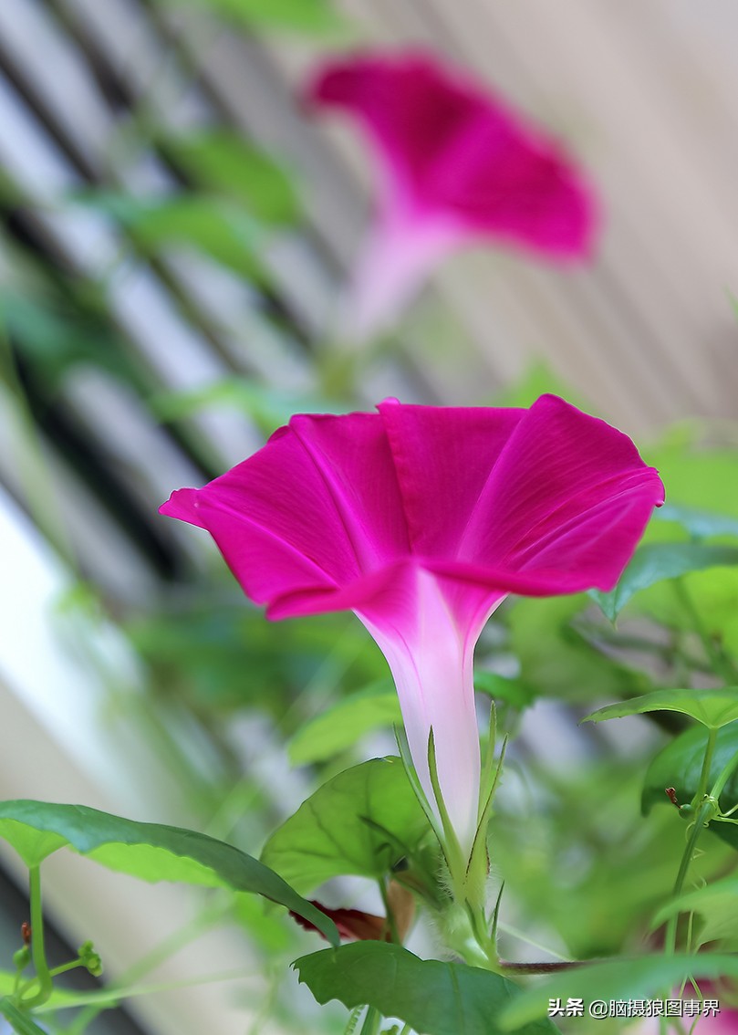 佳能6d现在有新的吗,佳能6d相机寿命多少时间