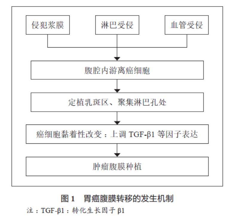 胃癌腹膜转移中国专家共识 (胃癌晚期腹膜转移能活多久一般)
