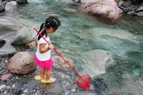 成都秋老虎发威的地方,成都秋老虎最新视频