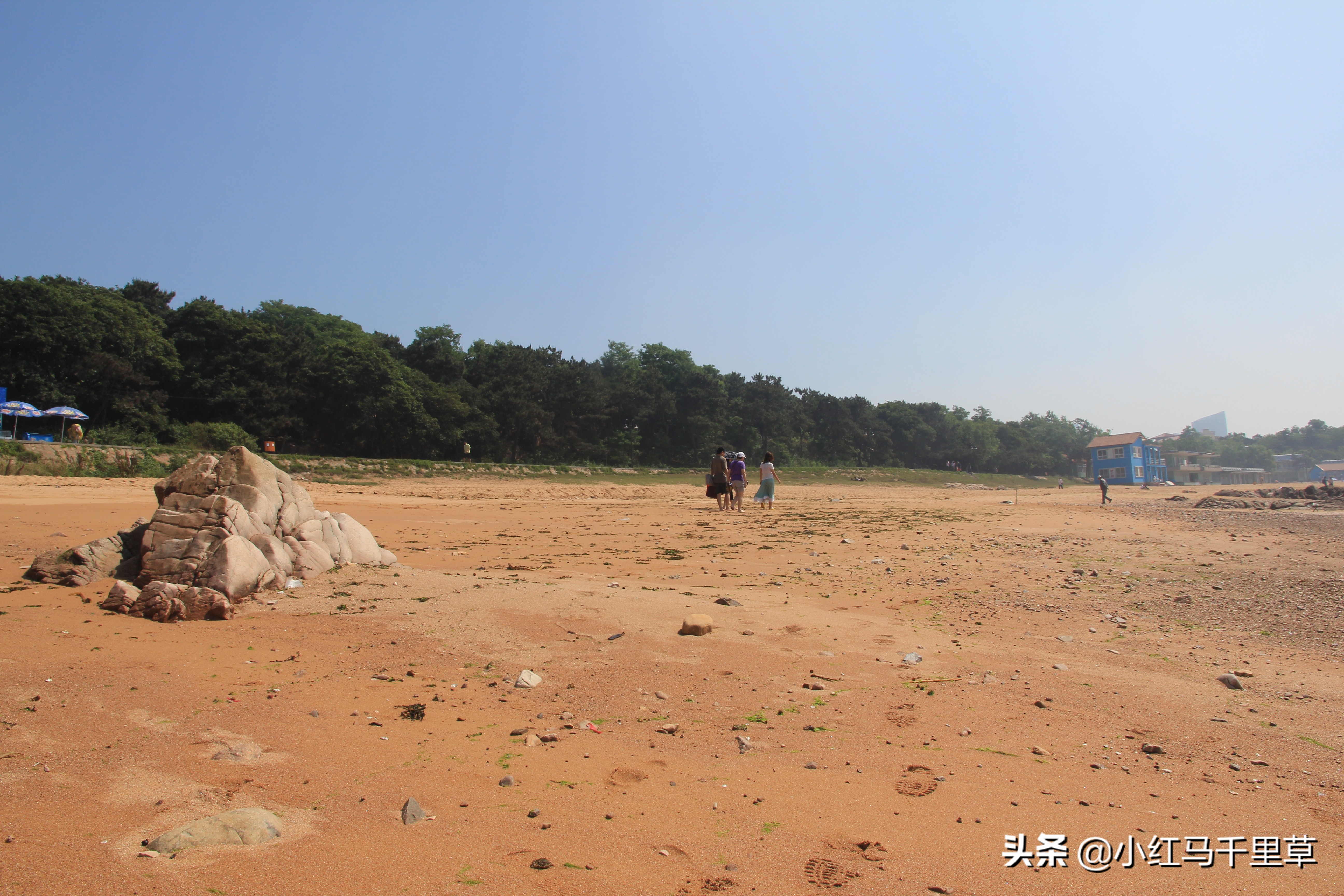 好客山东青岛旅游攻略,好客山东浪漫青岛