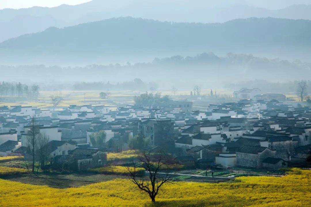 安徽春天美丽的视频,安徽美丽的春天