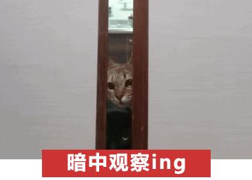 微信社交礼仪注意事项,微信社交礼仪十大禁忌