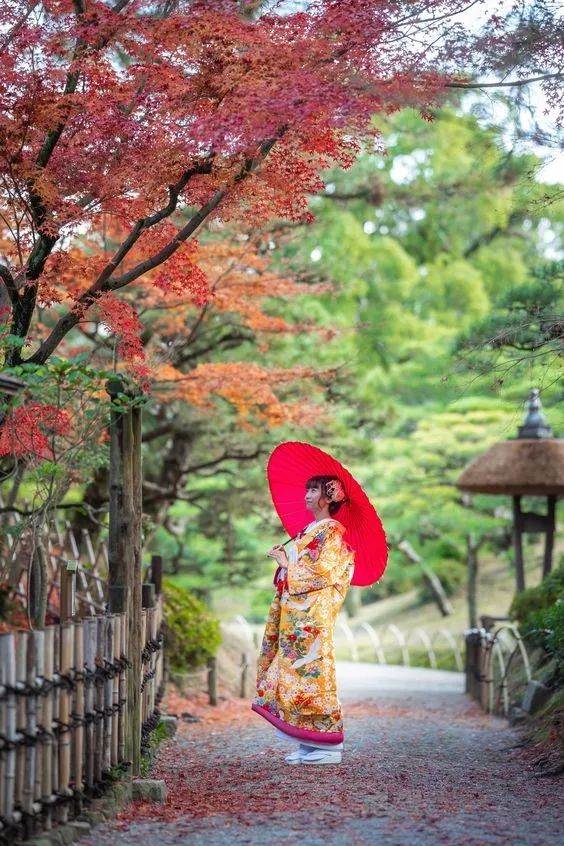 在日本坐火车是什么感觉,在日本坐火车是什么体验