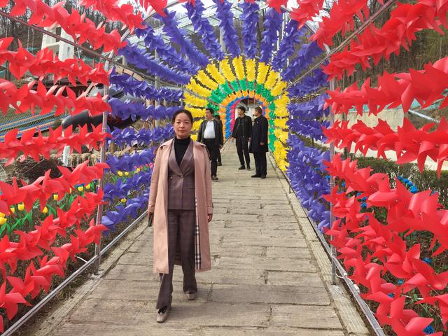 栾川旅游游记,旅行家深度体验游