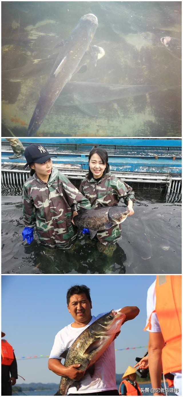 信阳南湾湖旅游攻略怎么玩,去看更大的世界熊耳山美景